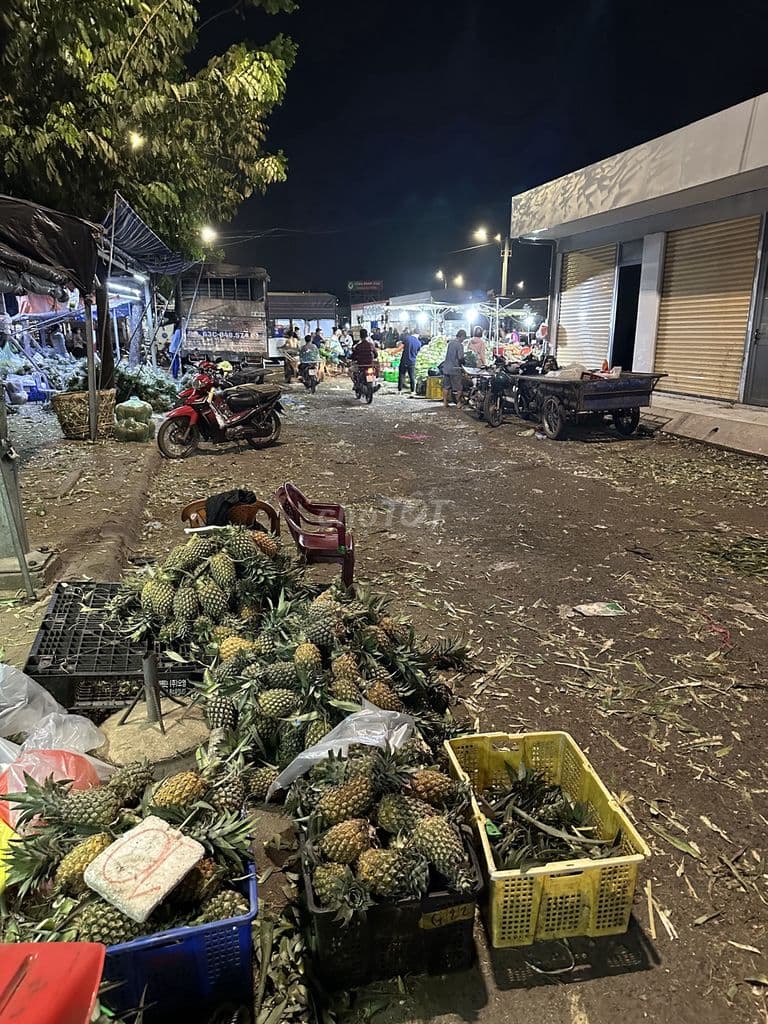 SANG VỰA THƠM CHỢ ĐẦU MỐI HÓC MÔN - Ảnh 3