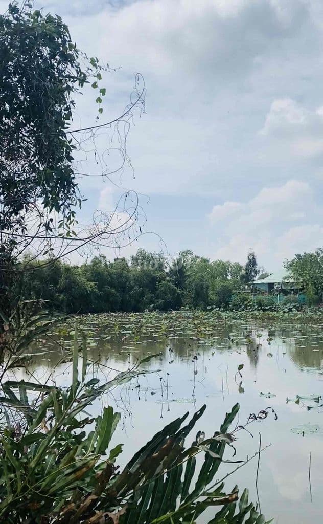 Bán Tài Sản Ngay Đường Tam Đa 8300m2