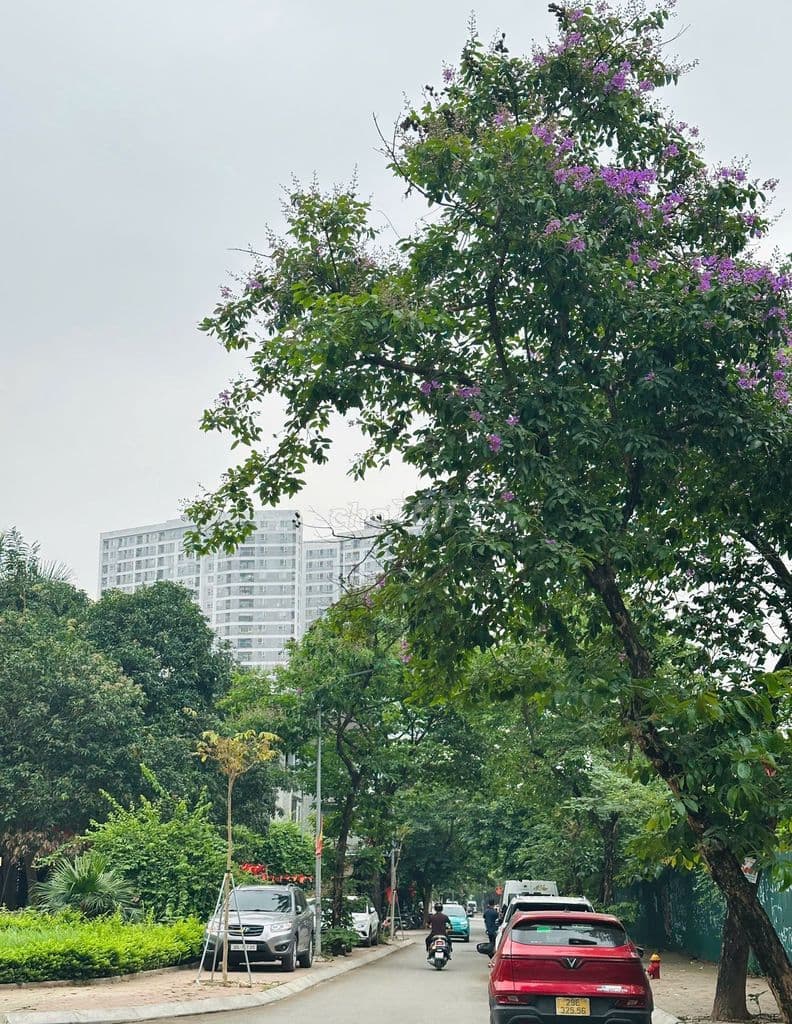 CC OCT5A - RESCO CỔ NHUẾ - 2N 2VS - TẦNG ĐẸP - GIÁ CỰC TỐT