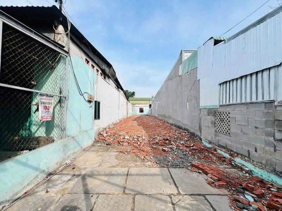 Mặt tiền đường nhựa Củ Chi - Diện tích 181m2 - Full thổ - Sổ sẵn - Ảnh 3