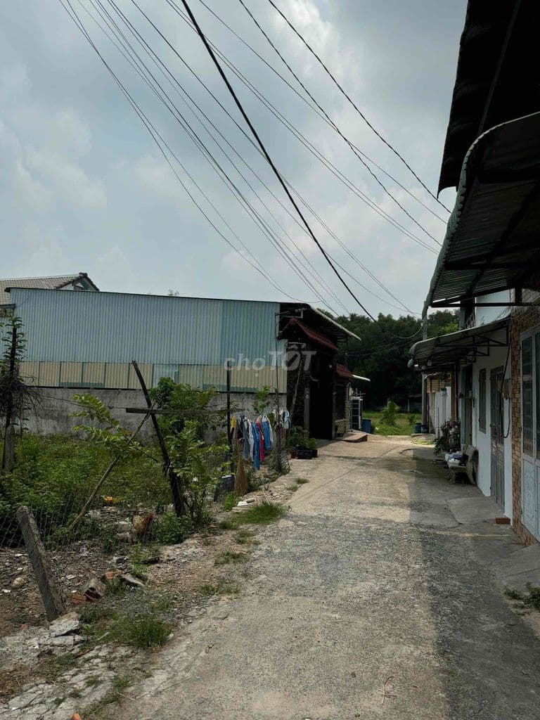 đất tróng đường song lu xã hoà phú huyện củ chi dt:,131,4m2 - Ảnh 3