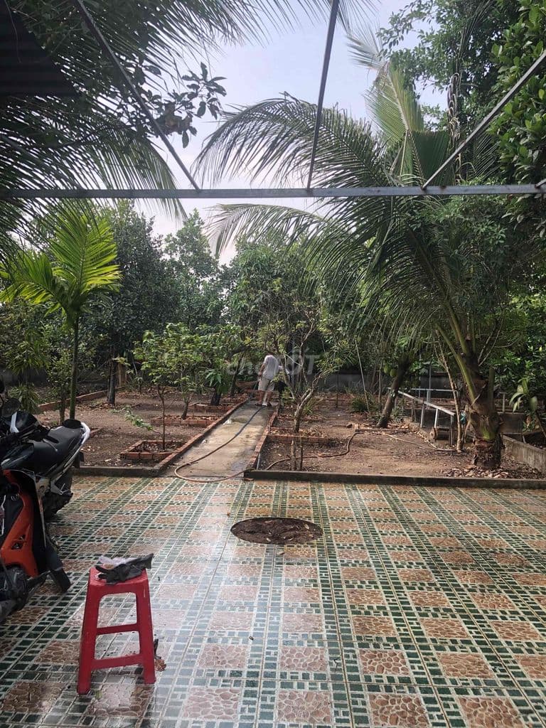 Cần bán gấp nhà vườn Rạch Bình Thuận!!!! - Ảnh 2
