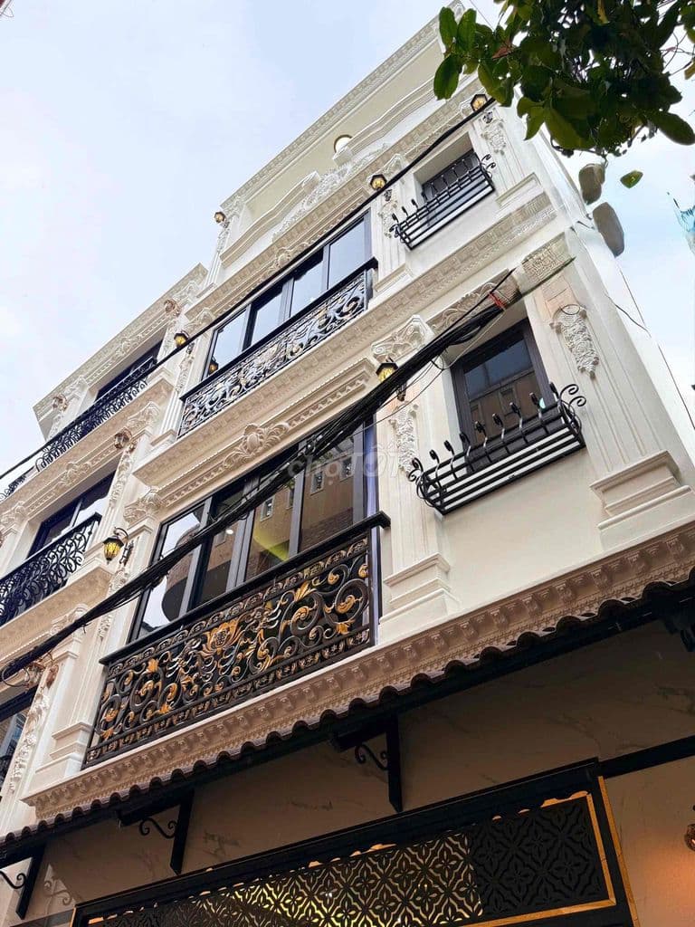 Nhà 5 lầu thiết kế cổ điển HXH 33/8 Đường Số 1- Nguyễn Thái sơn,p4 - Ảnh 2