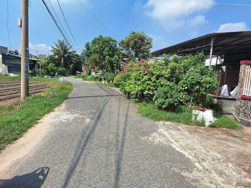 Đất sổ hồng riêng 6x26 Nguyễn Thị Se, cách QL22 200m chỉ 769 triệu - Ảnh 3