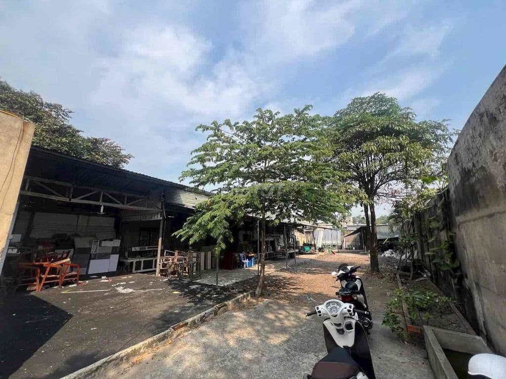 700m hem Trunh Thi Doi - Ảnh 2