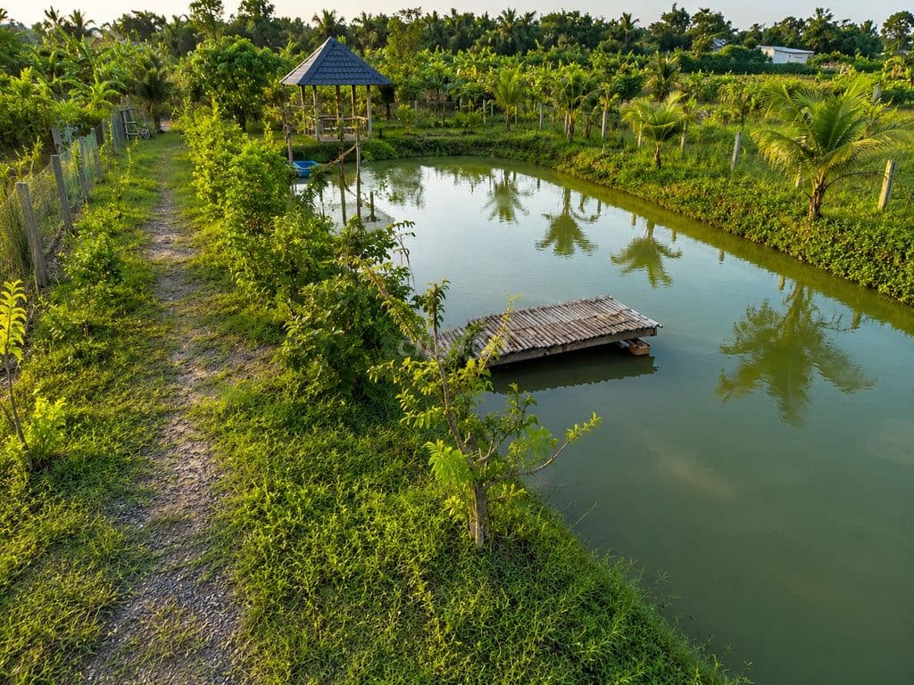 Tìm vườn 1400m² thì ghé miếng này nha anh (chị) yêu - Ảnh 2