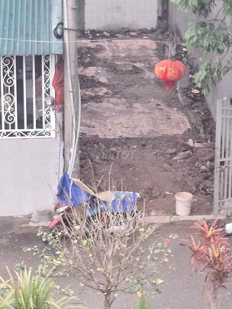 cần bán đất Cự Khối- sổ đỏ chính chủ - Ảnh 2