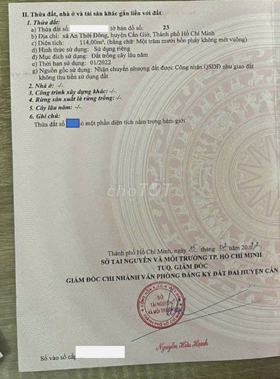 Bán Đất Xã An Thới Đông, Cần Giờ khu dân cư (có sổ) - Ảnh 3