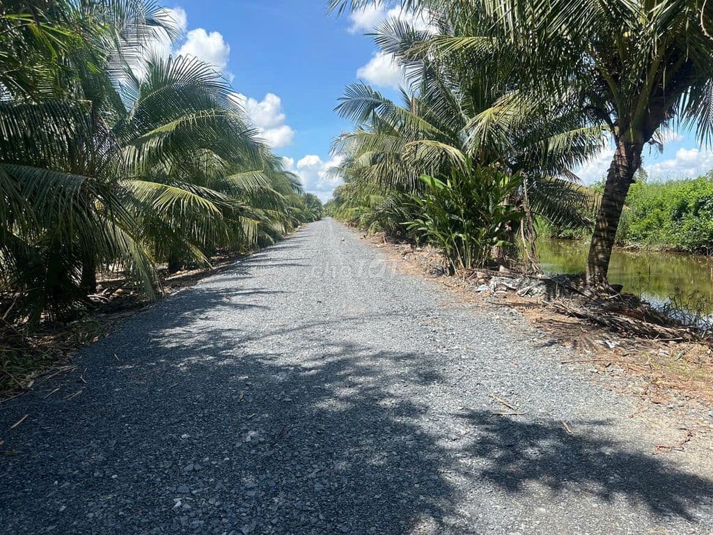 Bán đất vườn tại Lê Minh Xuân - Bình Chánh đường xe tải - Ảnh 3