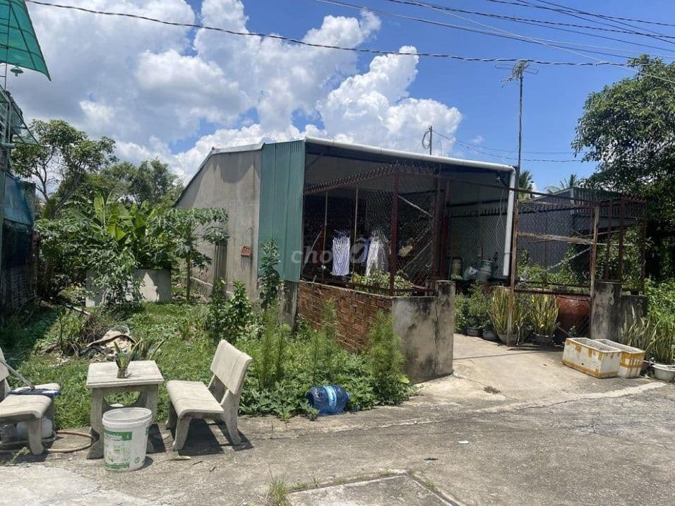 Bán đất đường Đoàn Nguyên Tuấn 123m2, xã Hưng Long, Bình Chánh - Ảnh 3