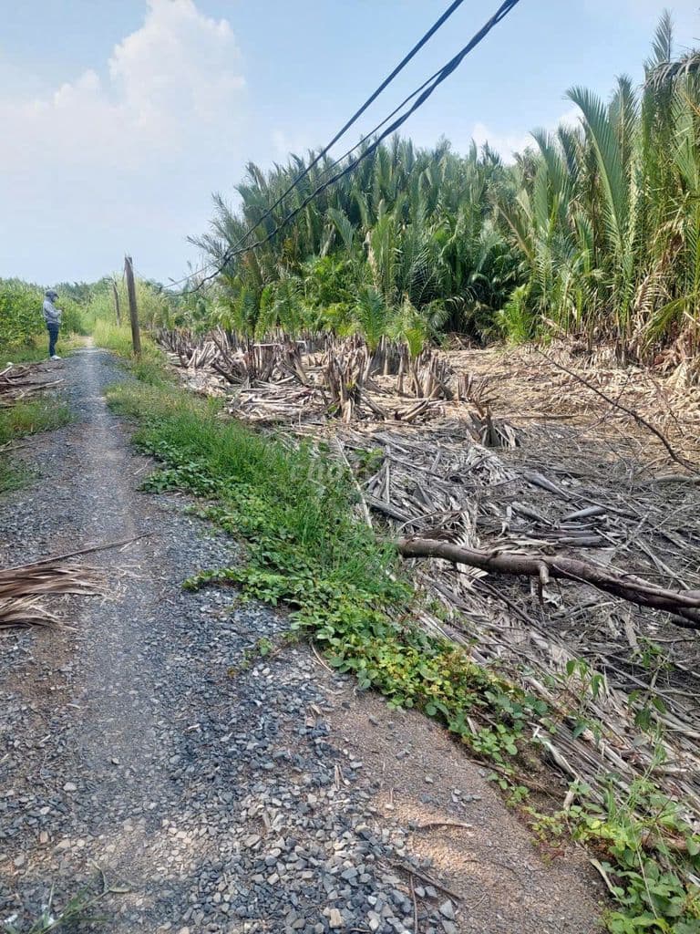 Đất nông nghiệp Hiệp Phước