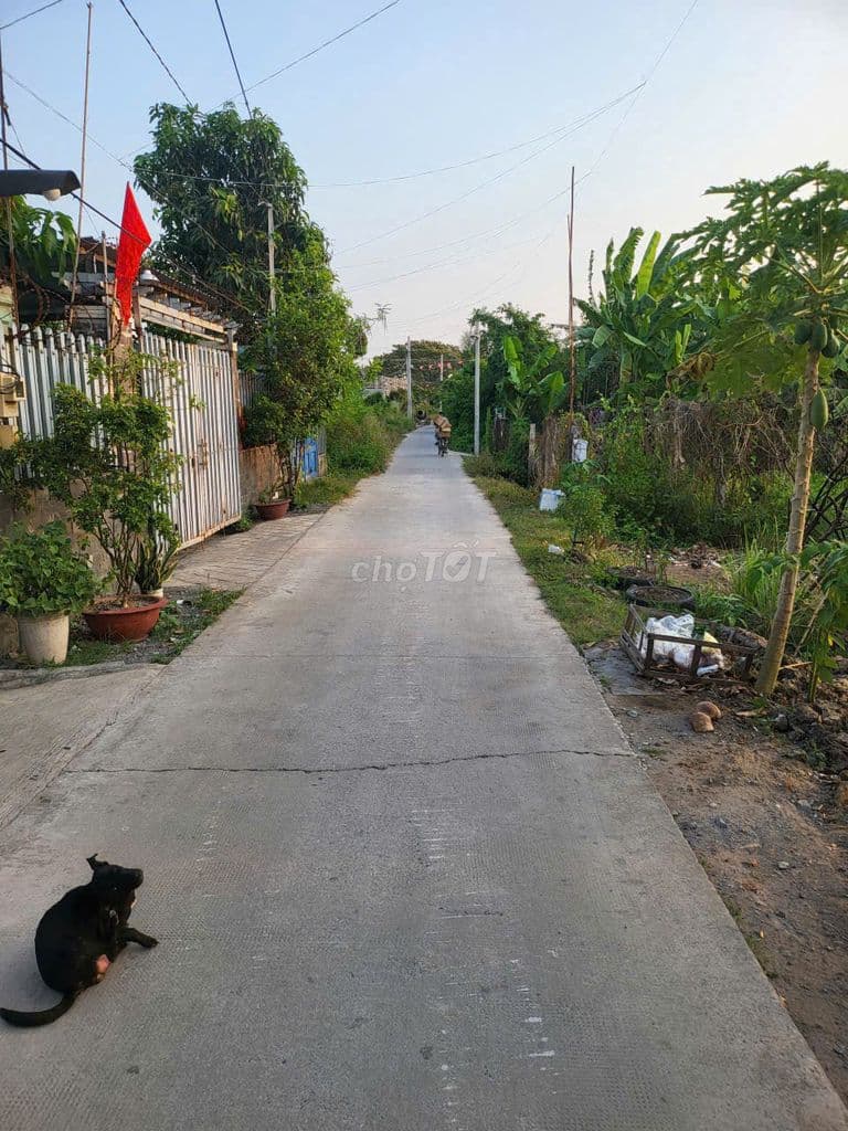 Chính chủ bán lô đât mặt tiền 300m2 chỉ 18tr/m2 - Ảnh 2