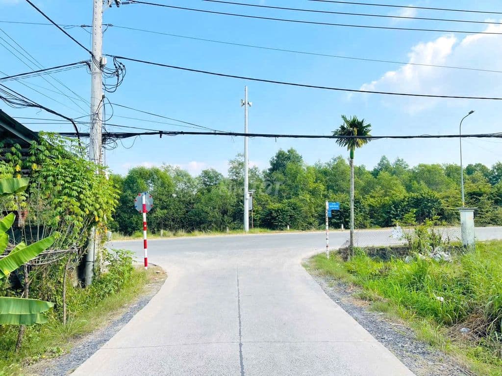 BÁN 462m2 ĐẤT - 2 MẶT TIỀN - TÂN AN HỘI, CỦ CHI GIÁ: 780 TRIỆU - Ảnh 2