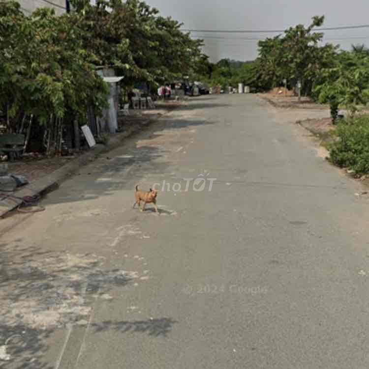 Kẹt vốn bán nhanh Đất đẹp 5,2x19 gần Vinhomes Q9 Thủ Đức - Ảnh 2