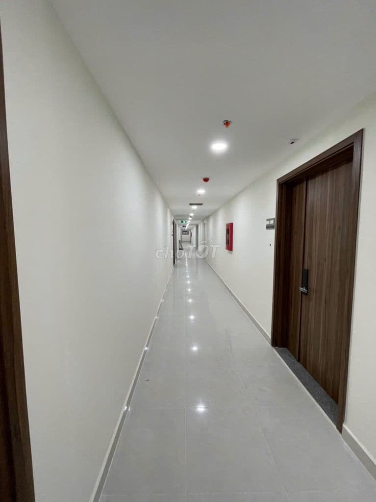 Góc 85m2 : 4,4 tỷ trống - 4,6 tỷ Full Nt Tòa MAll Topaz Elite - Ảnh 2