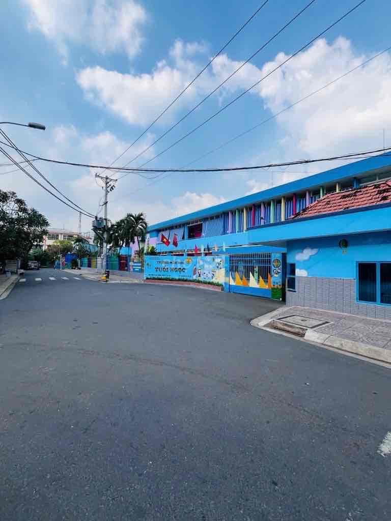 Bán Gấp Nhà Phường 6 Quận 8 Đường Nhựa 8m Ngang 4,5m DTSD Hơn 45m2