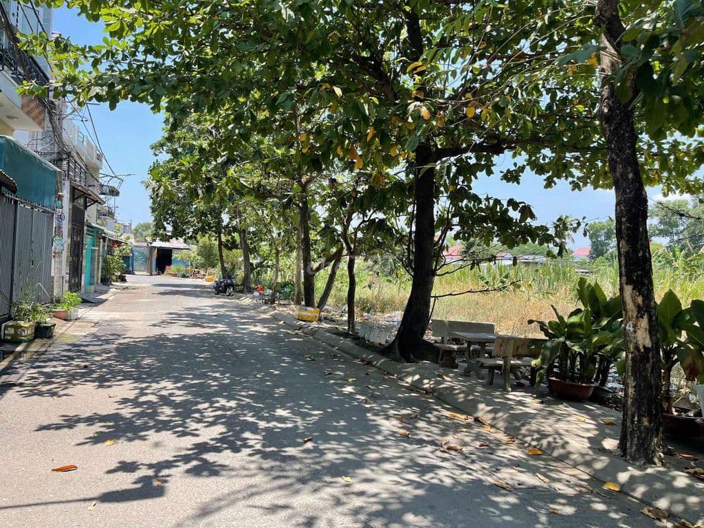 Đất 5x37m,Sổ 184m2 MT Nhựa 8m Thông Ngay Trần Văn 10 Giao Phan Văn Hớn - Ảnh 3