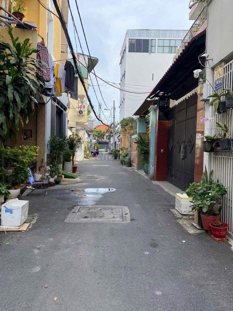 hàng tuyệt chủng - 5,2 x 12m. hẻm xe tải. không lộ giới - Ảnh 3