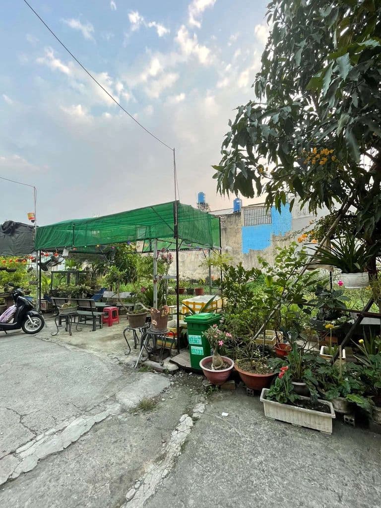 ĐẤT FUN THỔ CƯ 16X15 HẺM TRC ĐẤT 6M CHỈ 1/ ĐƯỜNG SƯ ĐOÀN 9, Vla - Ảnh 2