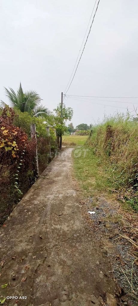 Nhà vườn Hưng Long BC,T phcm, có sẵn nhà, vườn cây ăn trái, nghĩ dưỡng - Ảnh 2