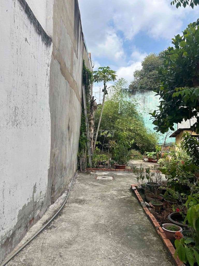 bán đất P8 Phú Nhuận 8.5x13 nở hậu - Ảnh 3