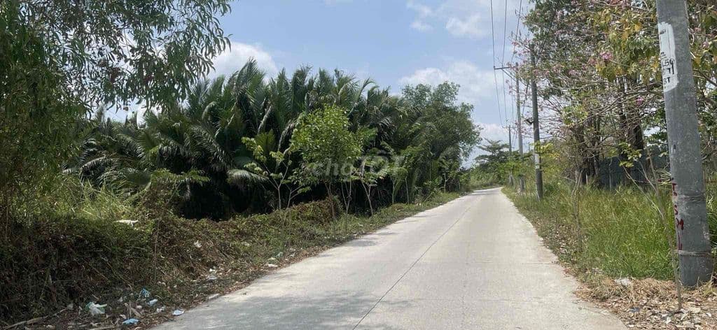 Cần bán đất xã phong phú bình chánh - Ảnh 2