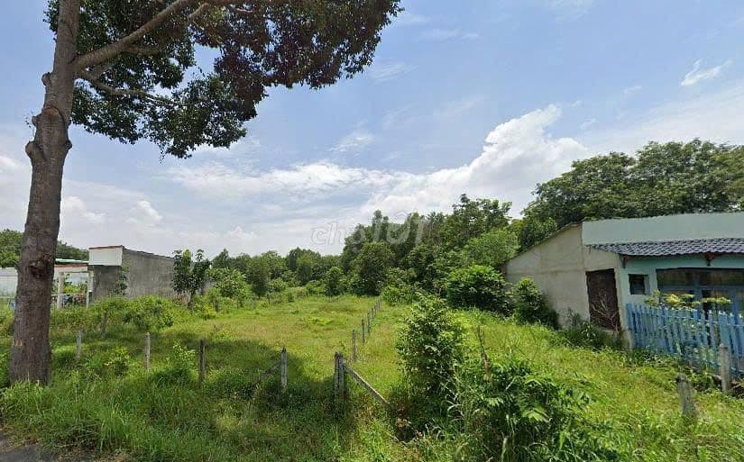 Chỉ 600 triệu sở hữu ngay lô đất 100m2 xã Phú Hoà Đông, Củ Chi - Ảnh 2