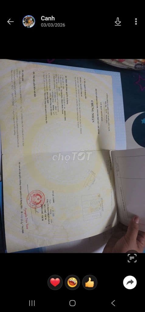 Đất mặt tiền Bùi Văn Sự - Ảnh 2