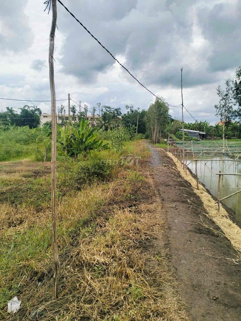 Bán đất 9500m2 giá rẻ 2tr/m2 xã Hưng Long - Ảnh 2