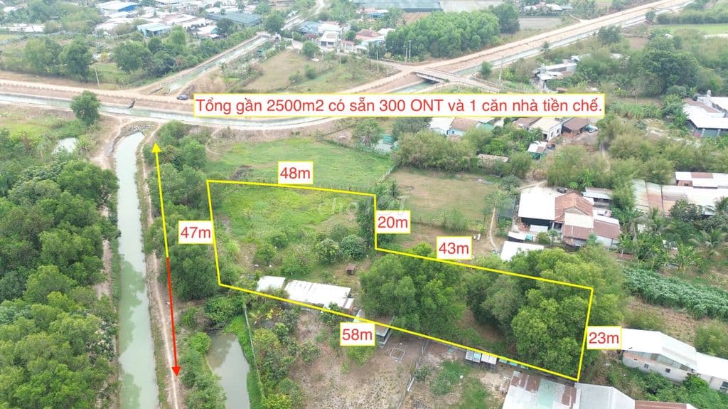 Đất vườn có thổ cư 2439m2 có sẵn 300 ONT. Giá bán 4 tỷ 500 triệu. - Ảnh 2
