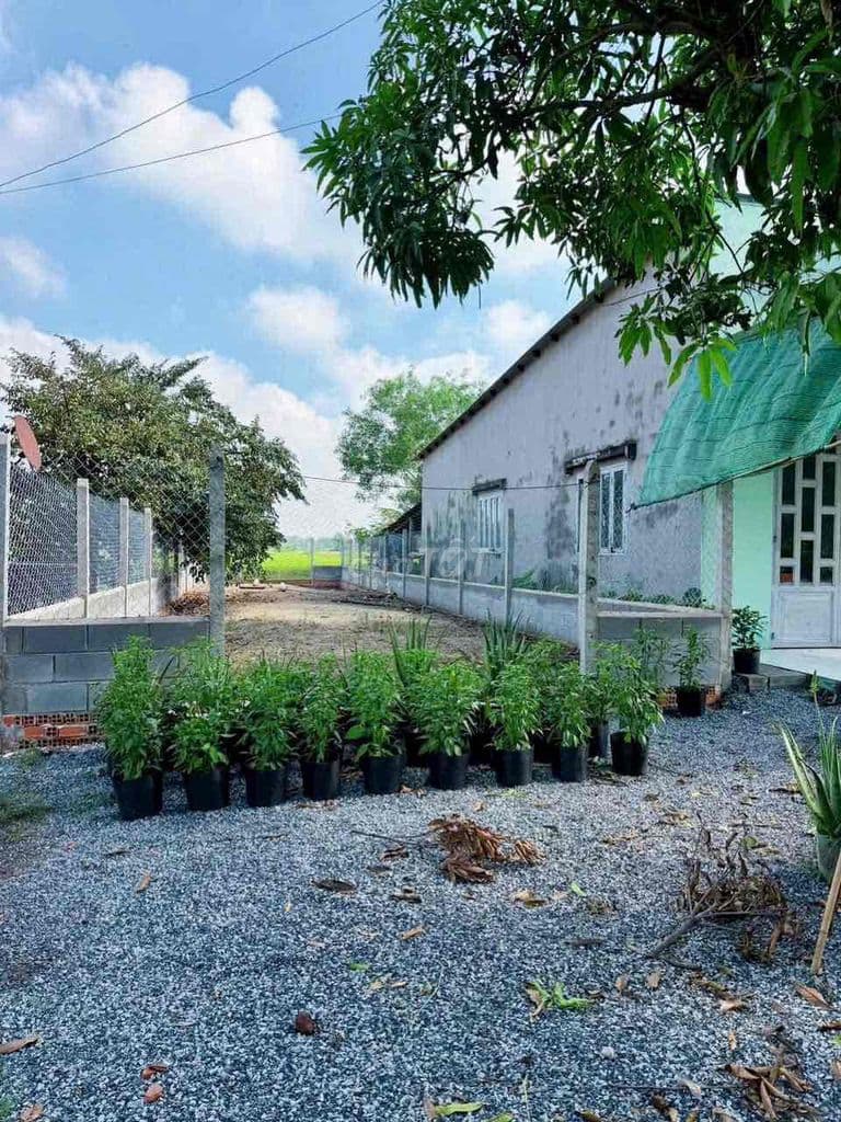 BÁN GẤP LÔ ĐẤT ĐẸP GẦN BẾN XE CỦ CHI – VỊ TRÍ ĐẮC ĐỊA, TIỀM NĂNG SINH - Ảnh 2