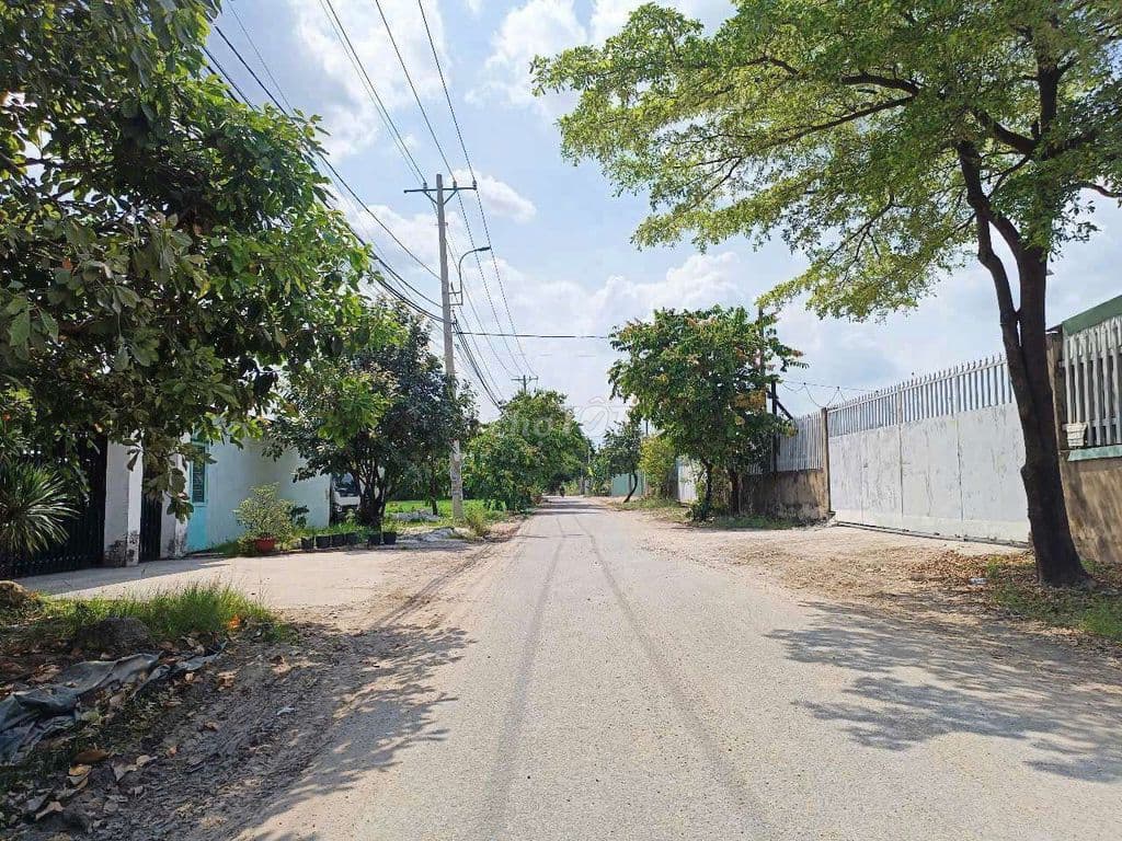 Bán nhà xưởng xã Nhị Bình Hóc Môn