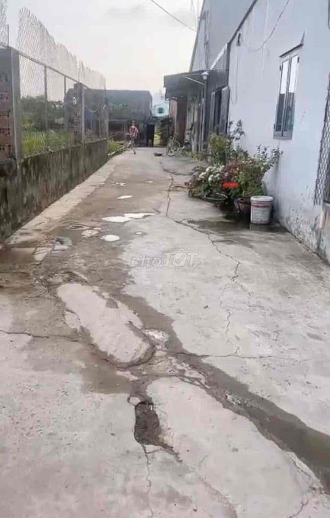đất cần bán gấp 2/ đỗ văn dậy.hóc môn.DT: 10m x 16m shr