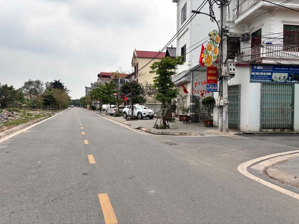 Bán 98m2 đất Lễ Pháp gần cầu Nhật Tân, CV Kim Quy, sân bay Nội Bài - Ảnh 3