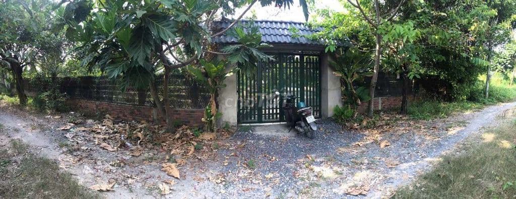 Bán nhà vườn 1200m2 mặt tiền kênh c20 ( Rạch Cây Xanh )