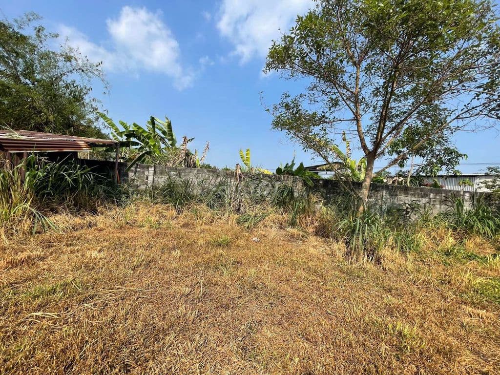 Chính chủ cần bán đất thổ cư phú hòa đông - Ảnh 2