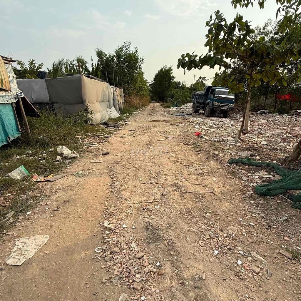 Bán đất vừơn 5x30m mặt tiền hẻm c1 - Ảnh 3