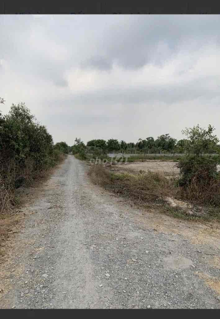 GIÁ RẺ - 1140m² ĐẤT TÂN THẠNH TÂY CỦ CHI – SỔ RIÊNG – GIÁ CHỈ 2,4 TỶ