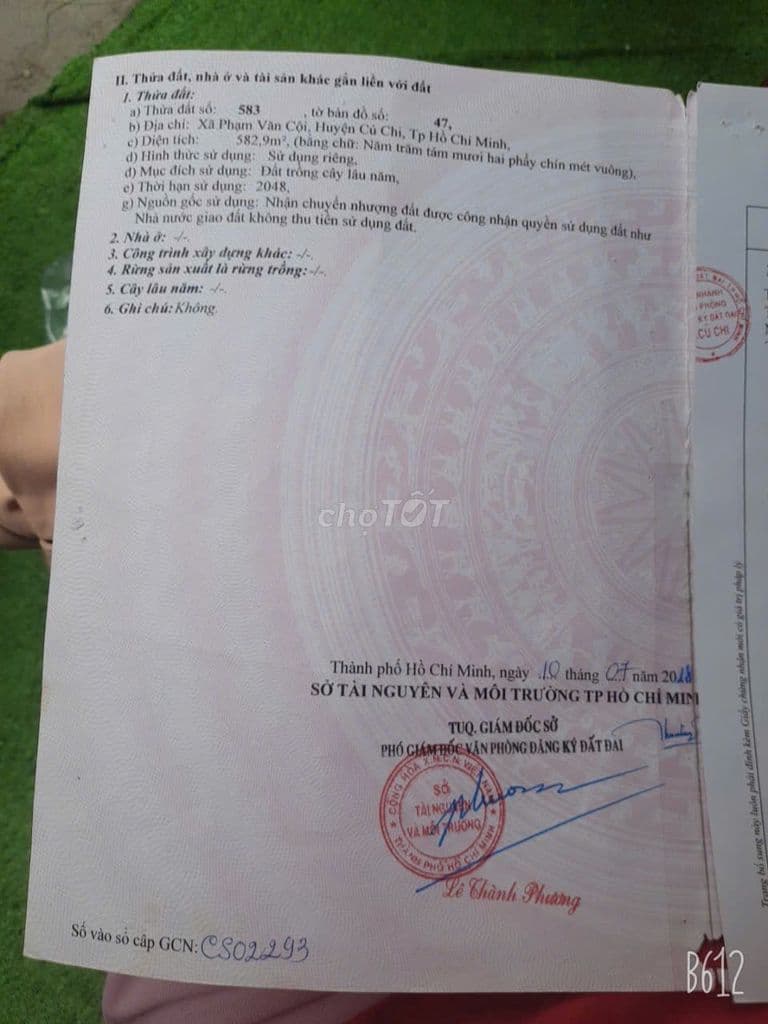 Đất mặt tiền đường 490 xã Phạm Văn Cội, Củ Chi - Ảnh 3