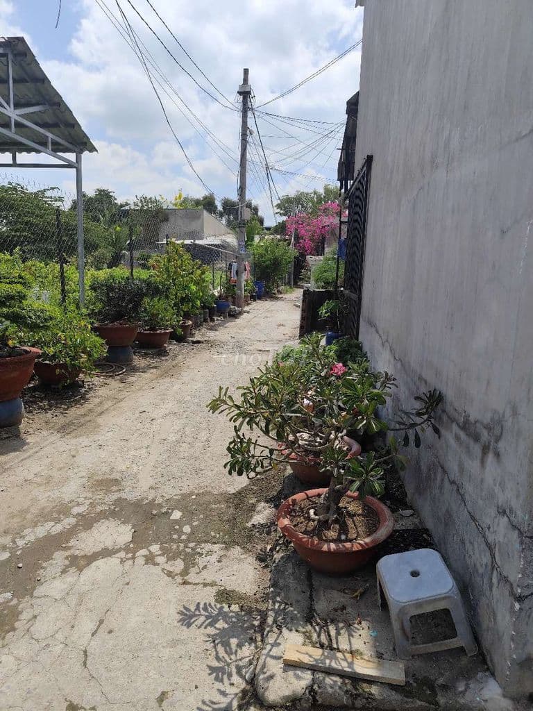 Bán đất An Phú Đông -90m- Giá 2ty2 - Ảnh 2