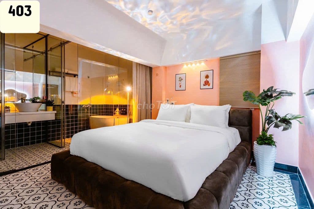 Bán nhà đang kd khách sạn dòng tiền tốt, ngay Emart p5, 12p, gía 14.9T - Ảnh 3