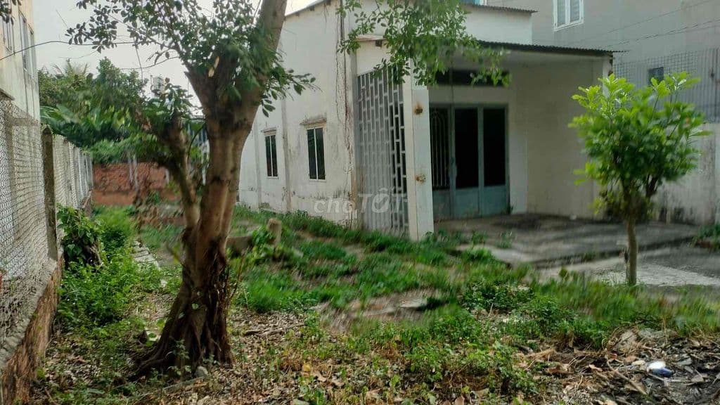 250m Ô Tô Ngủ Trong Nhà- Dương Công Khi - Đất Lớn Xây Dựng Tự Do - Ảnh 3