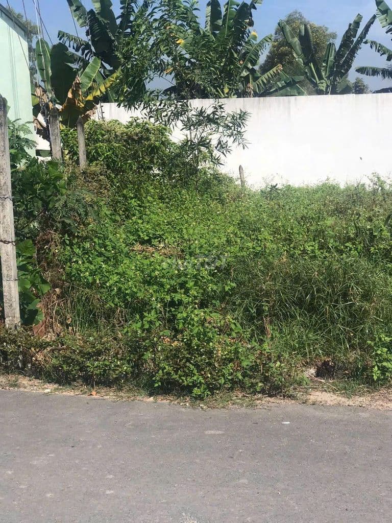 Chính chủ bán Gấp lô đất đường Hồ Văn Tắng giá 1tỷ650 DT 6m x18m -SHR - Ảnh 2
