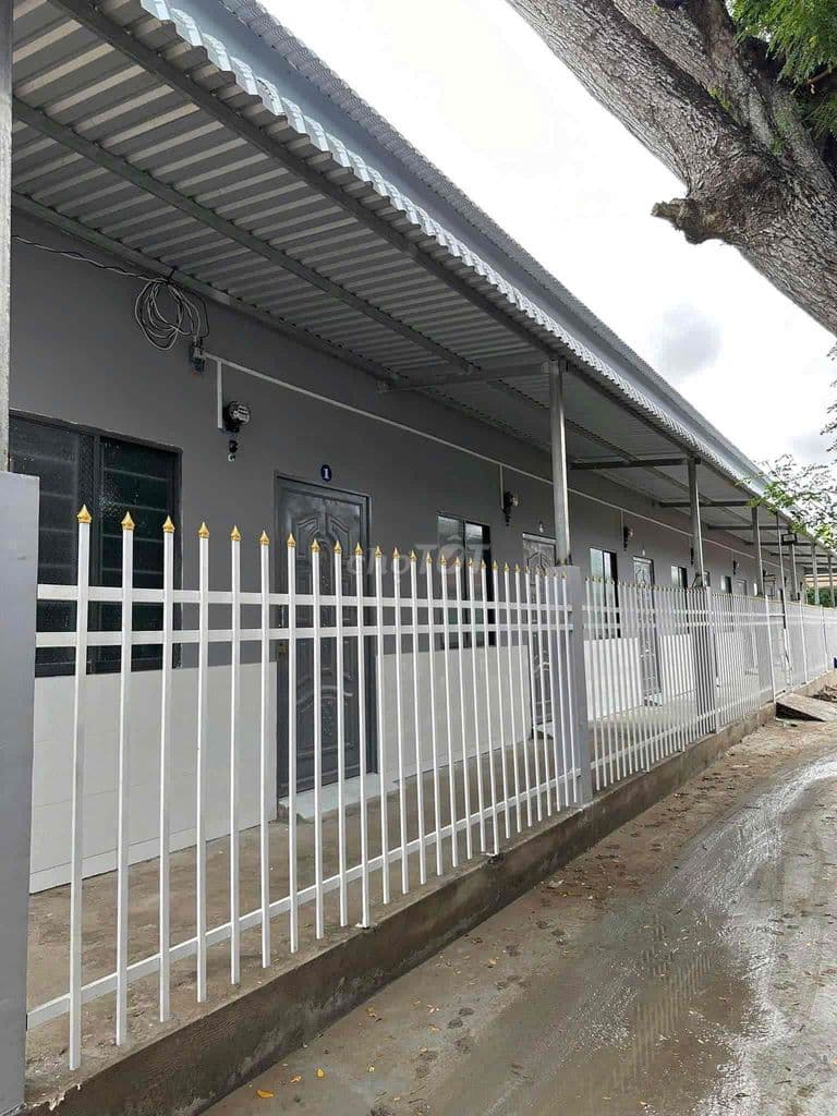 Cô Hai bán gấp dãy trọ gần Chợ Bình Chánh - SHR - Ảnh 2