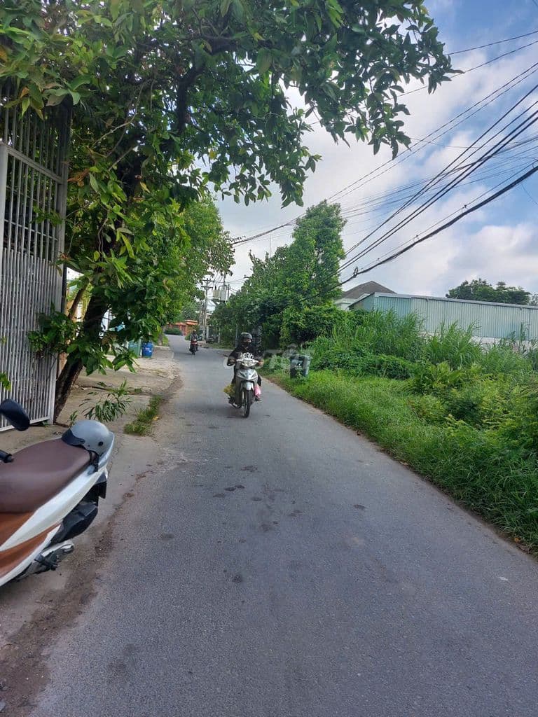 588 TRIỆU SỞ HỮU 310m² ĐẤT - CÓ NHỮNG GIẤC MƠ AN CƯ BẮT ĐẦU TỪ ĐÂY - Ảnh 2