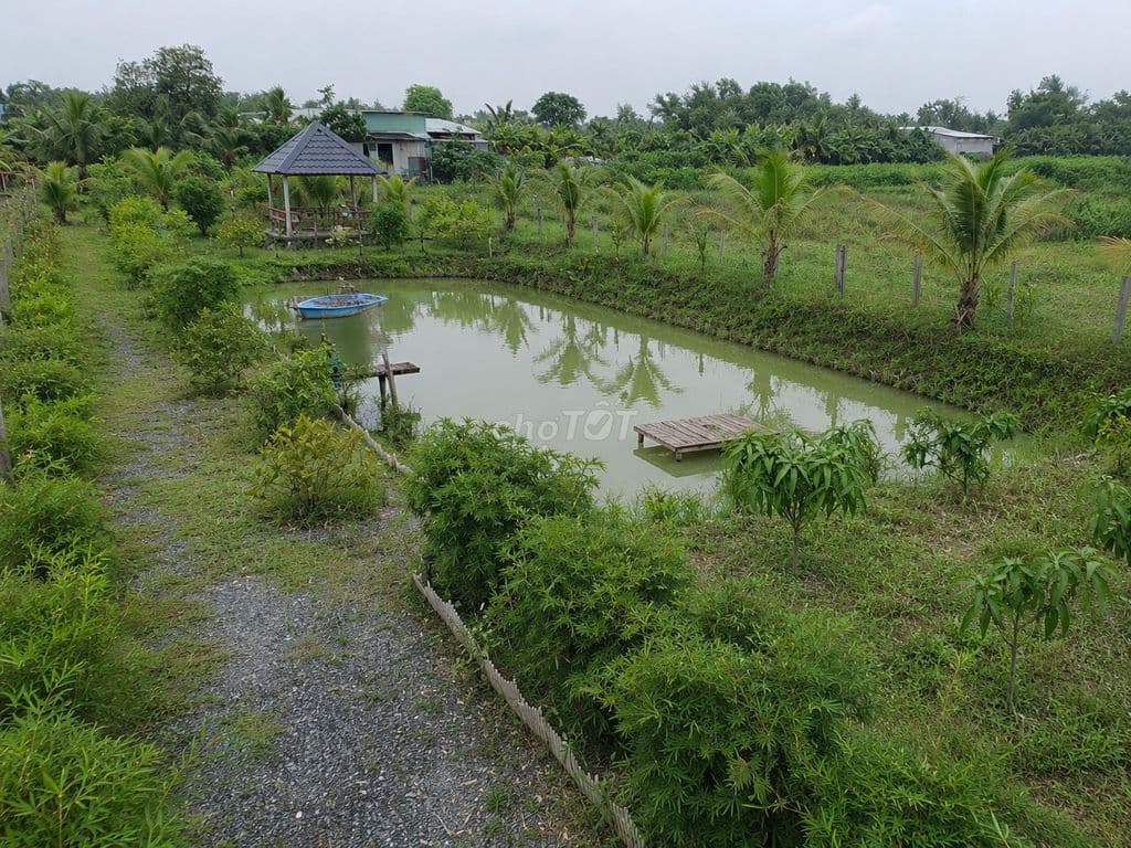 Tìm vườn 1400m² thì ghé miếng này nha anh (chị) yêu - Ảnh 3