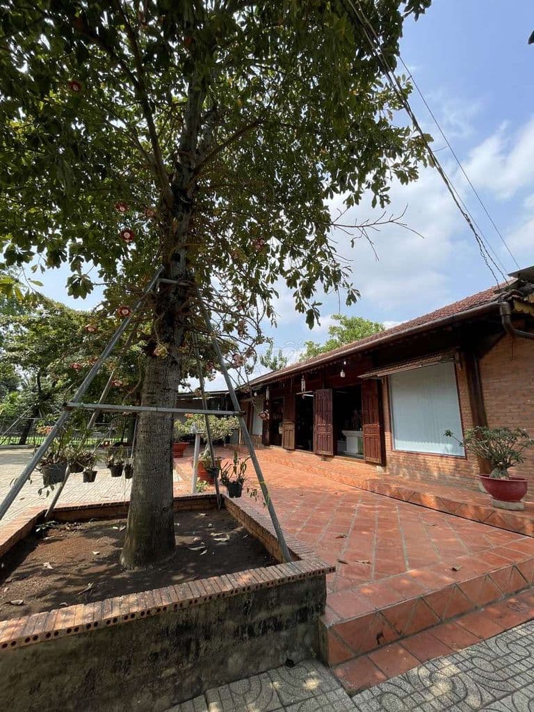 Khuôn viên vườn 2200m2 có nhà kiên cố và vườn cây lớn View Rạch Đá Hàn