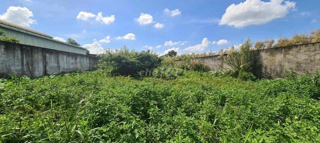 cần bán gấp 1.200m2 đất ở Xã Phạm Văn Hai, Bình Chánh - Ảnh 2