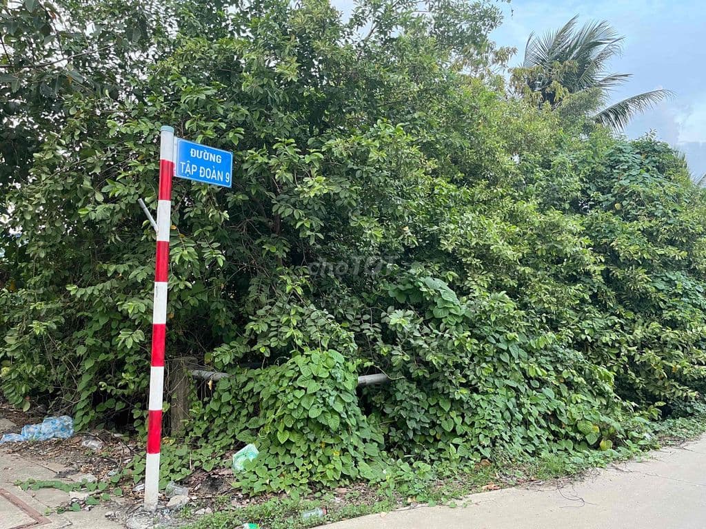 Cần tiền bán gấp - Ảnh 3