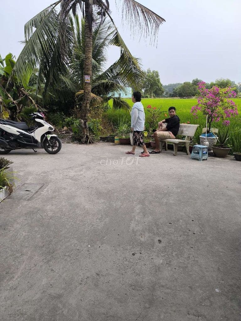 nhà bán huyện Bình Chánh xã Phước Lý tỉnh long an - Ảnh 3